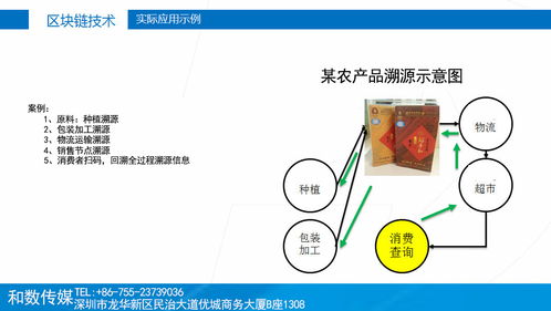 傳統產業融入區塊鏈 和數軟件如何以技術賦能，穩健前行